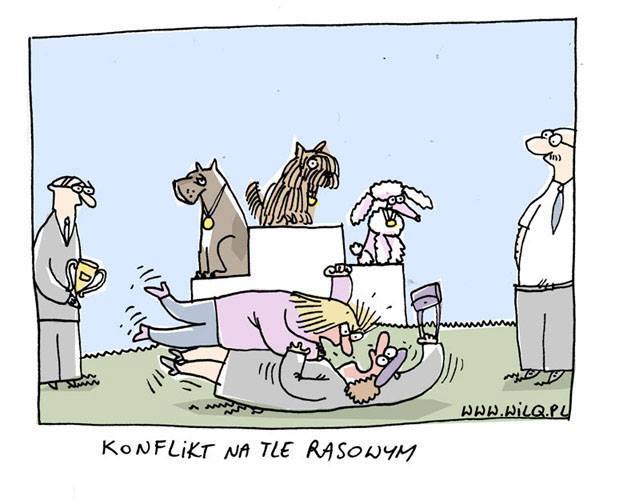 konflikt.jpg