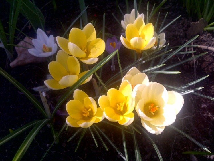 IMG-20140320-00542.jpg