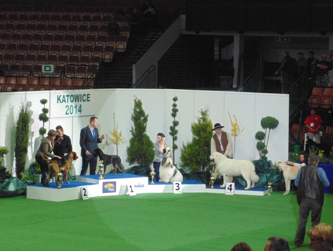I podium ;-)