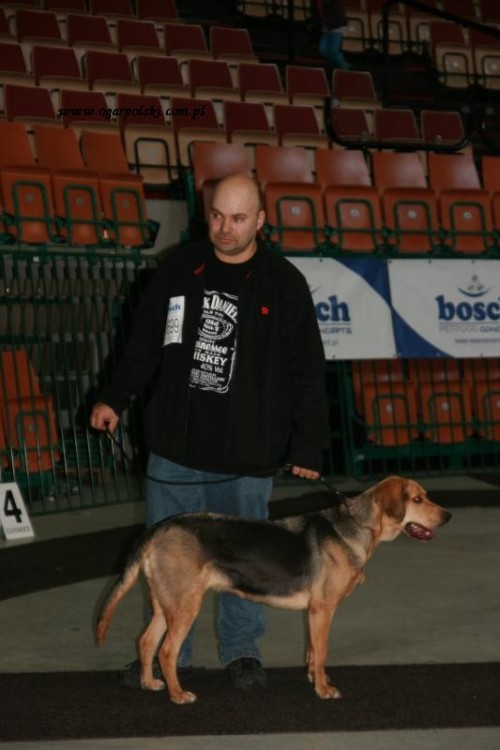 Paxi