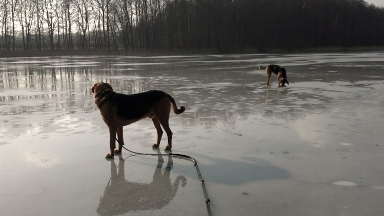 randka na lodzie:)