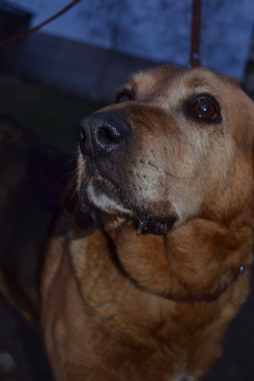 DSC_0127.JPG