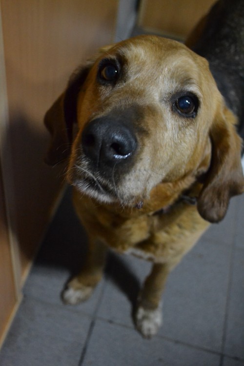 DSC_0166.JPG