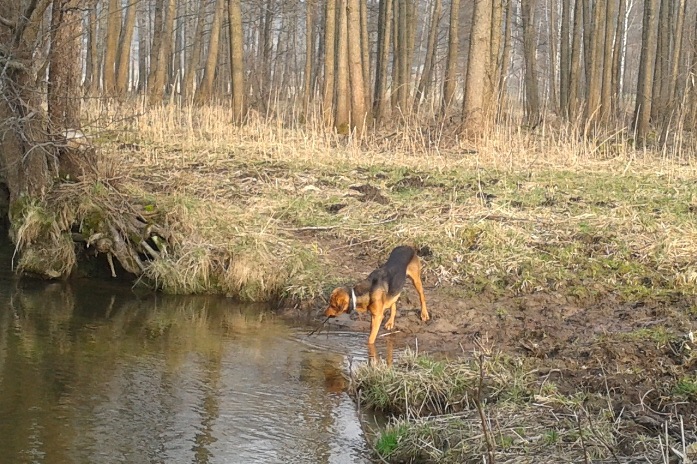 20140327_152226.jpg