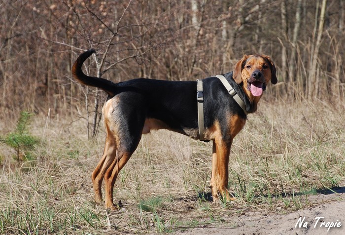 umyk 7.jpg