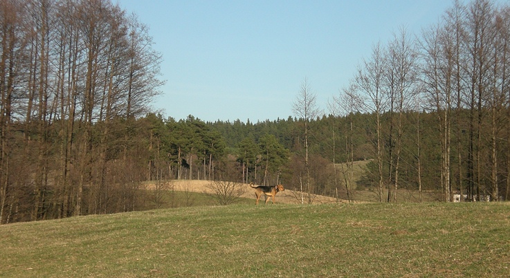 CIMG0440 (2).JPG