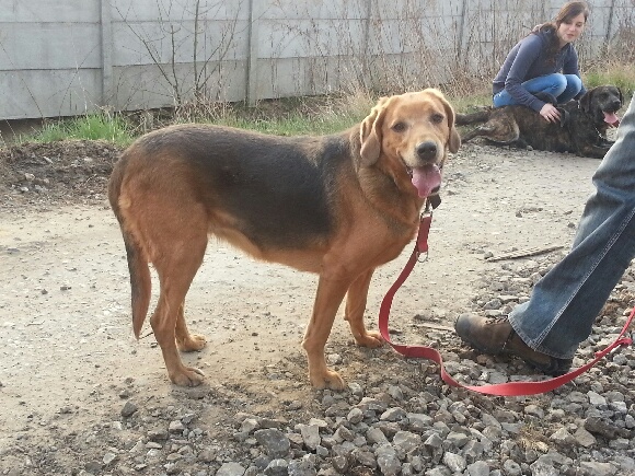 20140403_170210.jpg