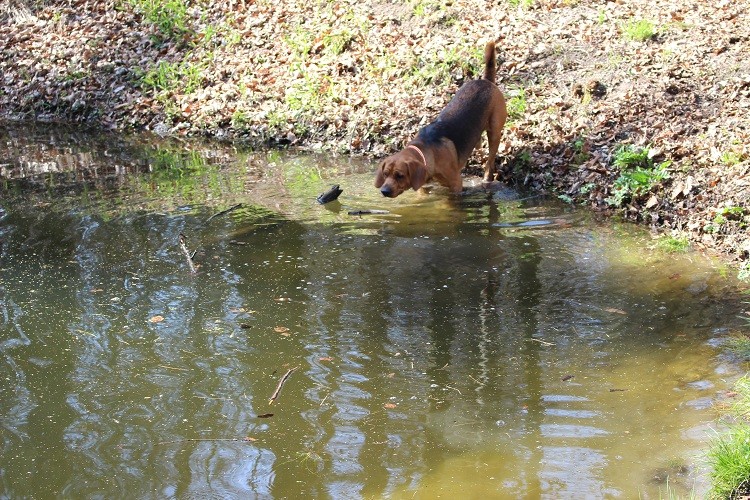 Kąpiel