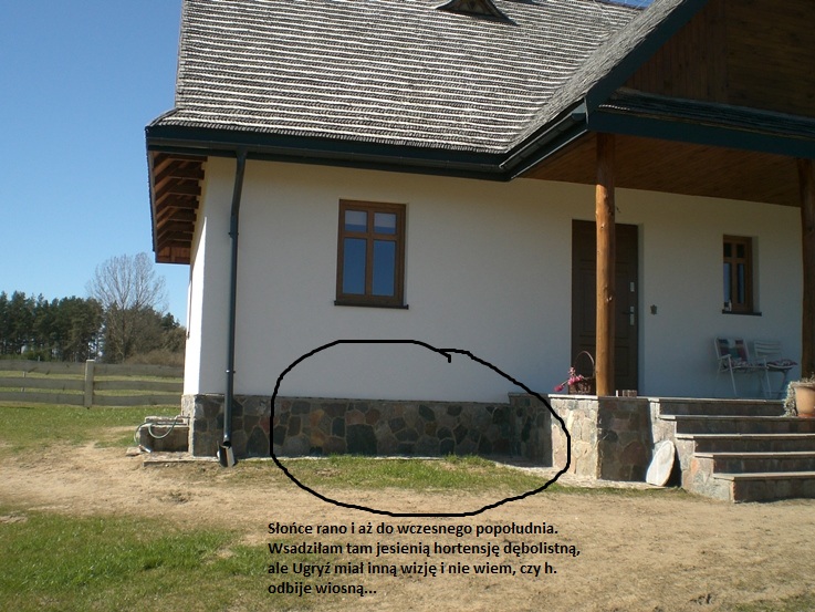 CIMG0470.JPG