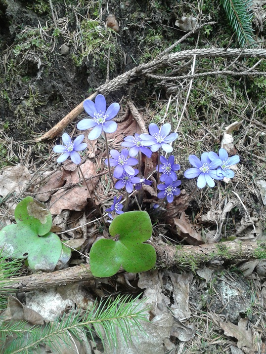 20140408_144031.jpg