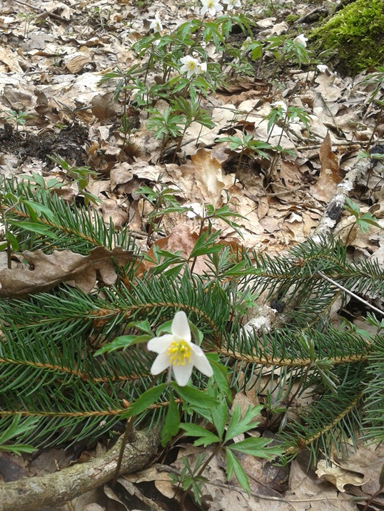 20140408_144741.jpg