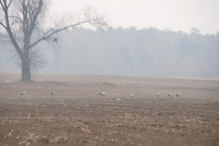 DSC_0005.JPG