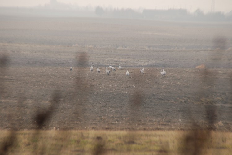 DSC_0017.JPG