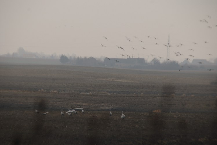 DSC_0018.JPG