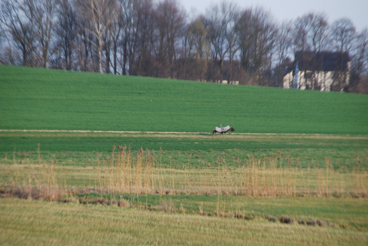 DSC_0023.JPG