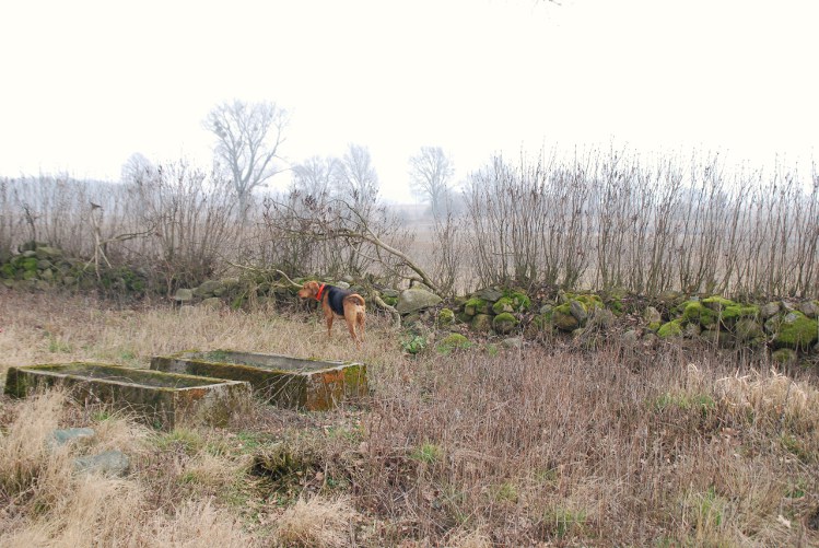 DSC_0008.JPG