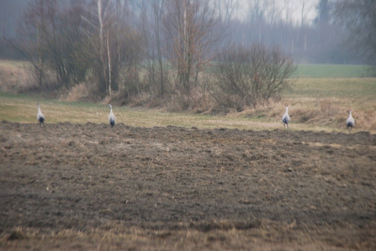 DSC_0025.JPG