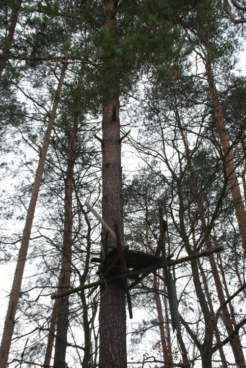 DSC_0029.JPG