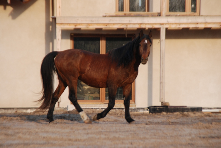 DSC_0015.JPG