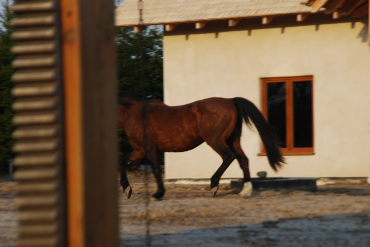 DSC_0011.JPG