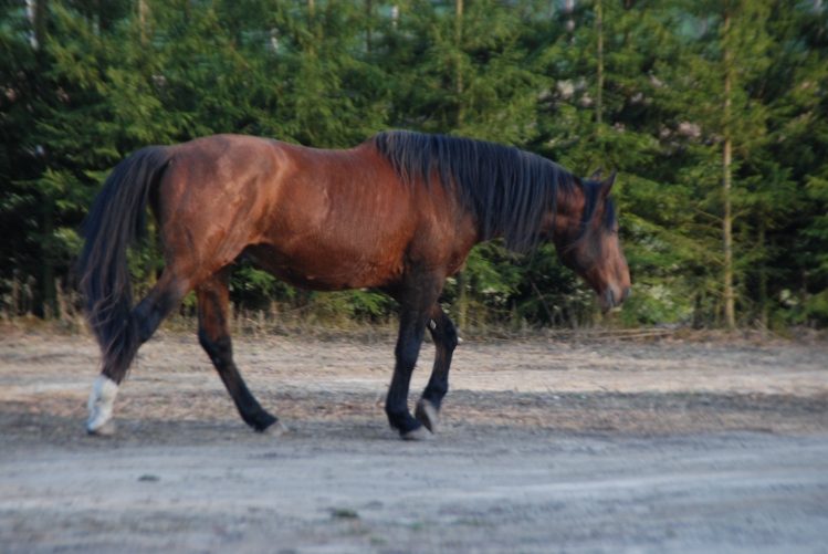 DSC_0019.JPG