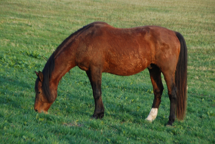 DSC_0021.JPG