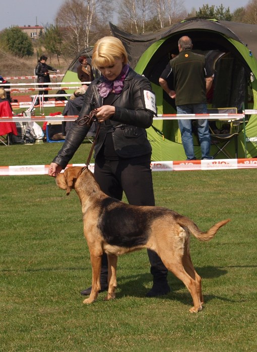 DUSIA z Beskidzkich Wysp.jpg
