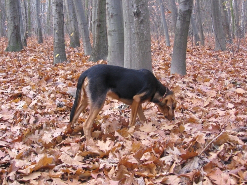 IMG_8127.jpg
