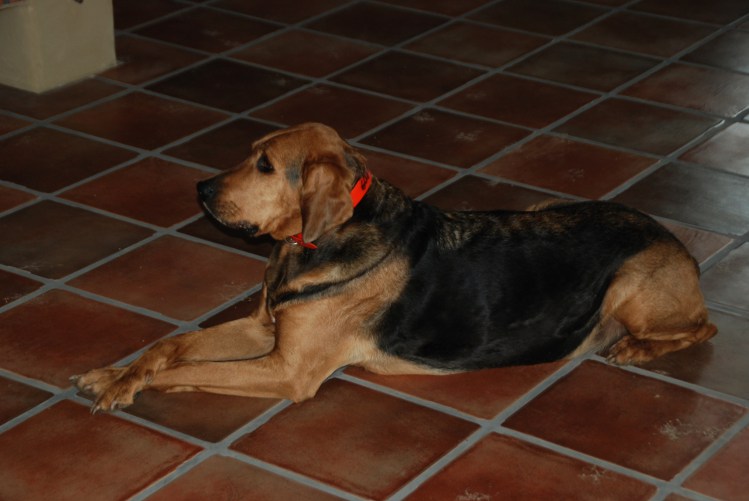 zalega...
