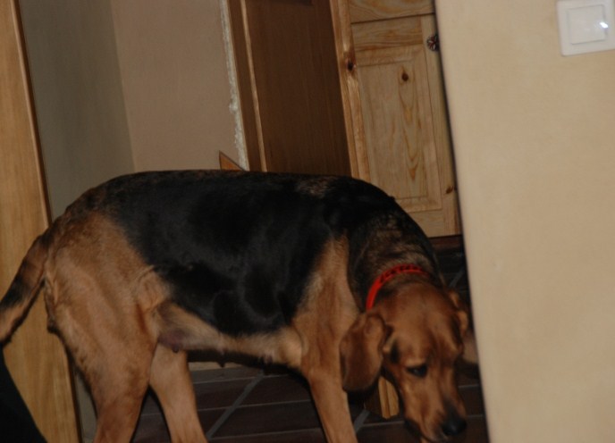 DSC_0058.JPG