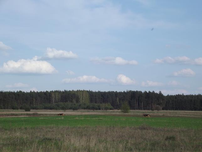 DSCF0573.JPG