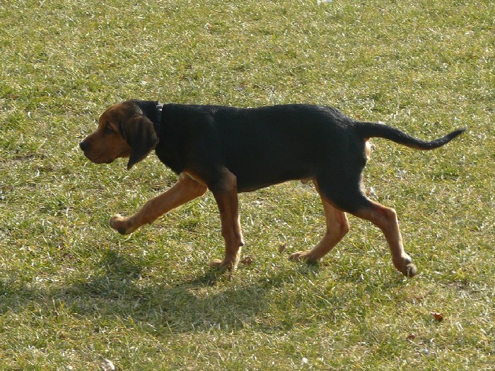 spacer 2.jpg