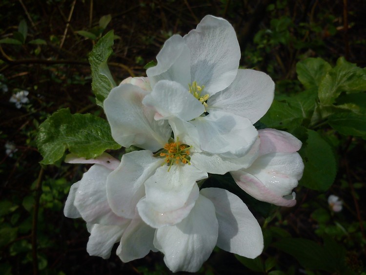 DSC01067_.jpg