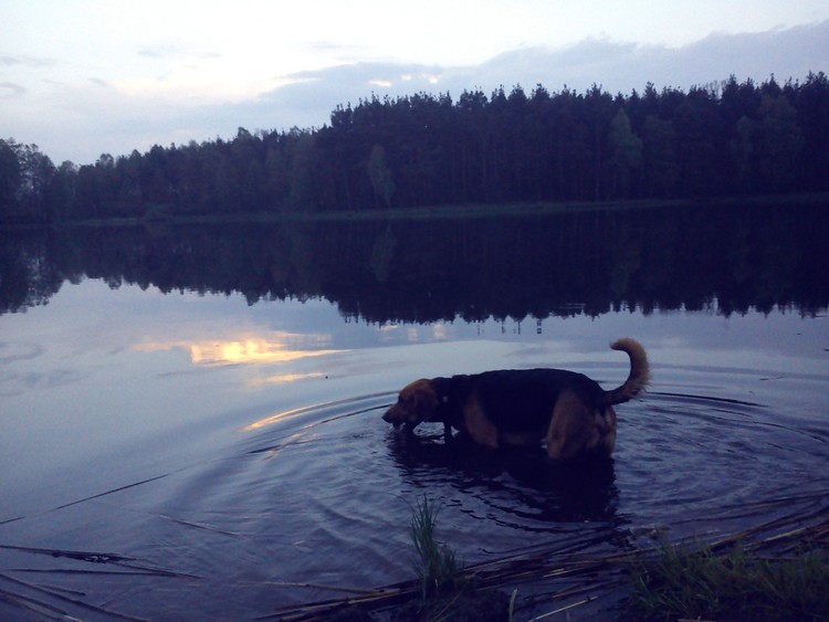 DSC01048_.jpg