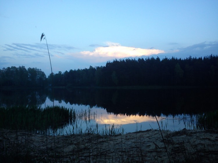 DSC01045_.jpg