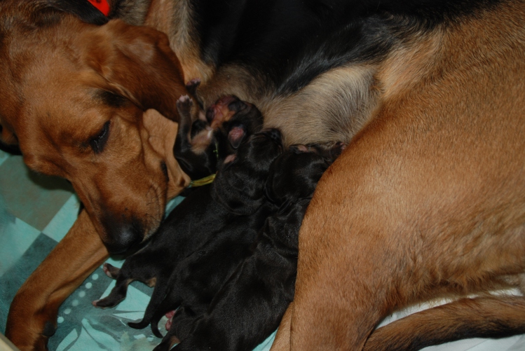 DSC_0022.JPG