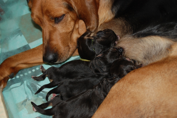 DSC_0023.JPG