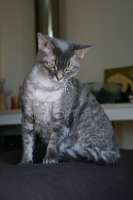 koleżanka Sekreta-Heidi.jpg