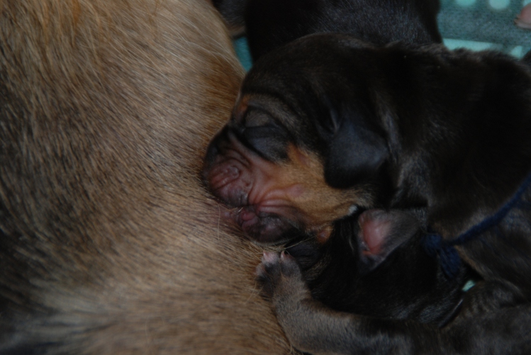 DSC_0017.JPG