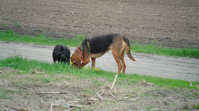Co tam masz?