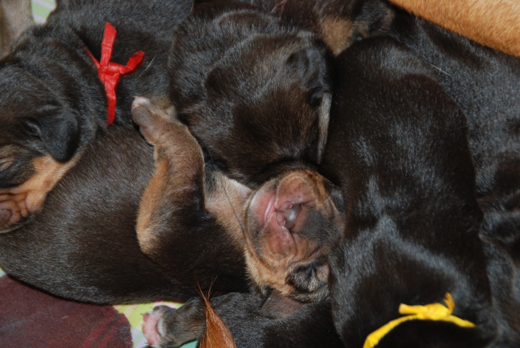 DSC_0068.JPG