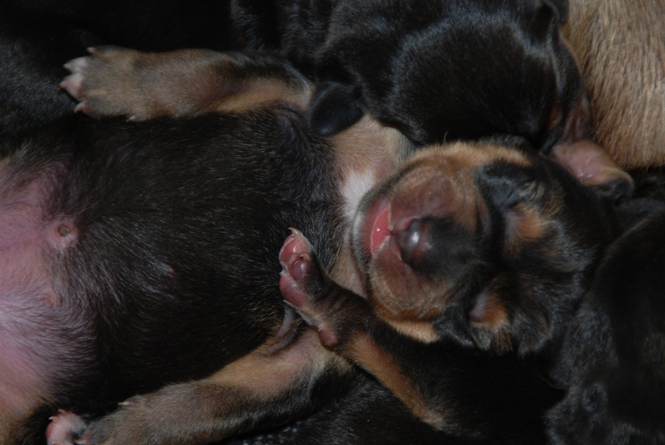 DSC_0009.JPG
