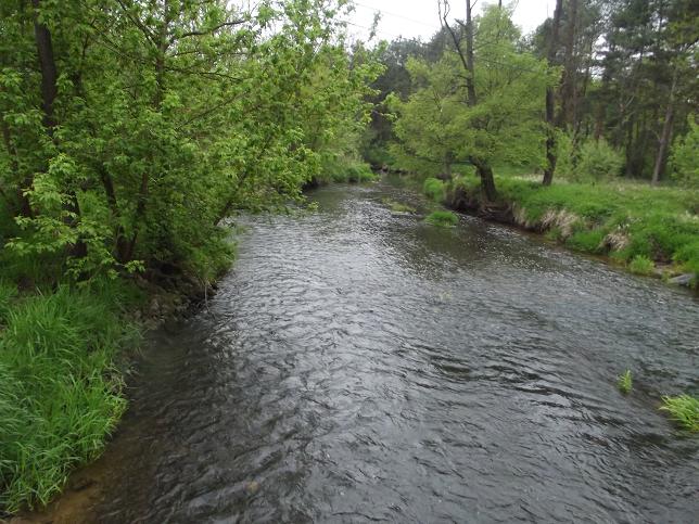 DSCF0781.JPG