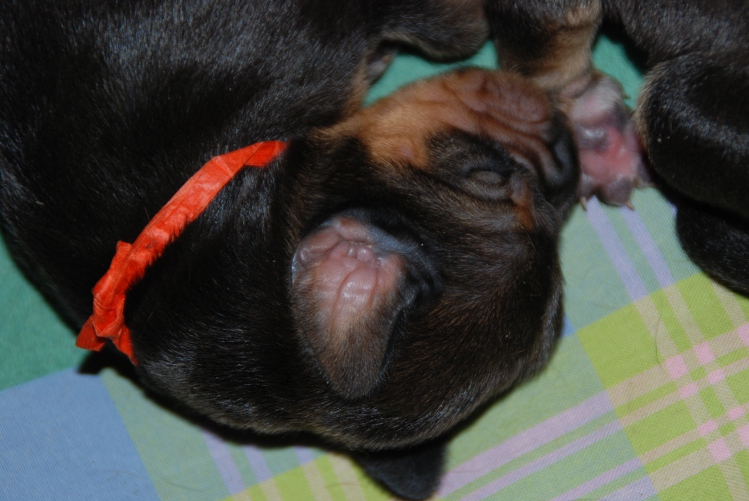 DSC_0052.JPG