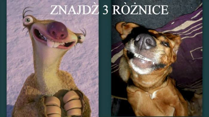 zagadka1.jpg