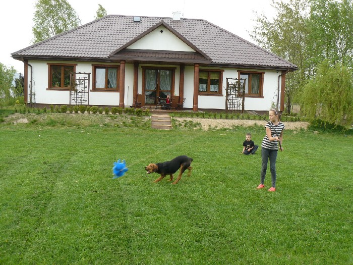 polowanie na słonia....