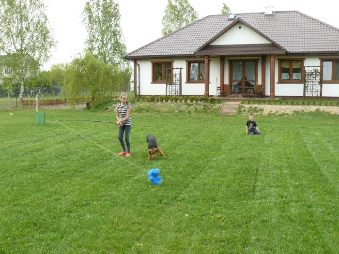 polowanie na słonia 2....