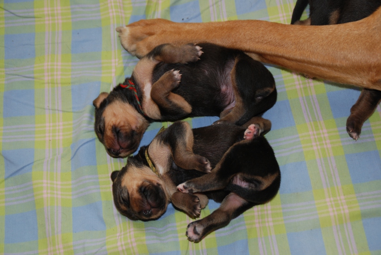 DSC_0012.JPG