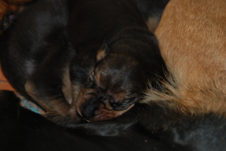DSC_0013.JPG
