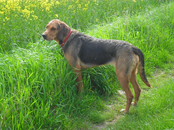 SAM_5647.JPG